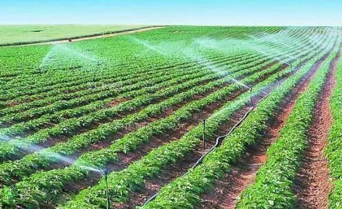 骚屄影院在线农田高 效节水灌溉